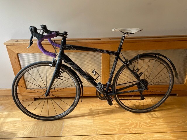 felt z95 price